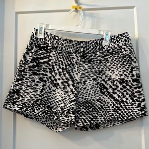 Calvin Klein animal print shorts. Size 6.